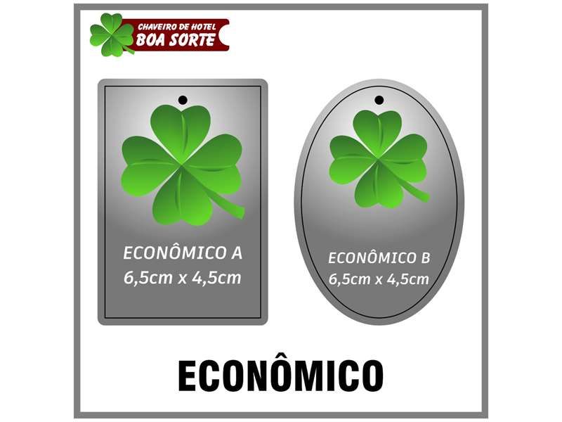 MODELO ECONÔMICO